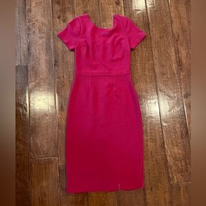Raspberry Boden Elsa Ottoman Day Dress 8L